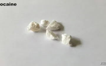 Cloridrato di cocaina