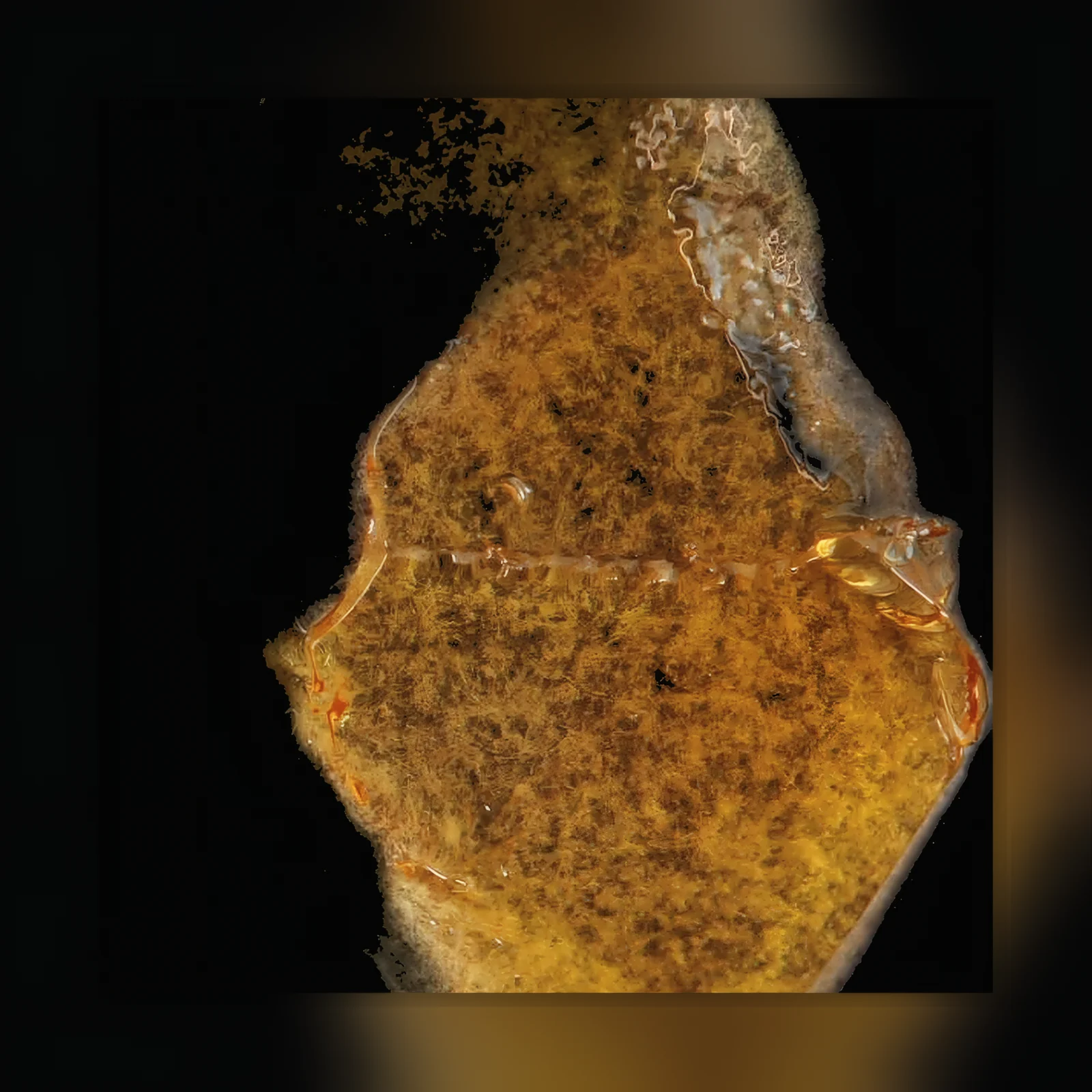Olio di cannabis delta-8
