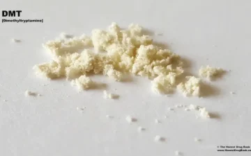 DMT in polvere