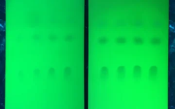 Cartine TLC sotto luce UV