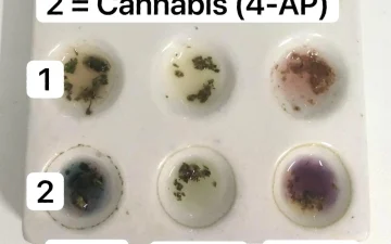 Test reagente sulla cannabis
