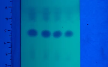 Test di purezza per anfetamina, MMC e CMC