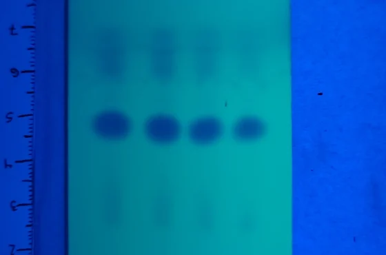 Test di purezza per anfetamina, MMC e CMC