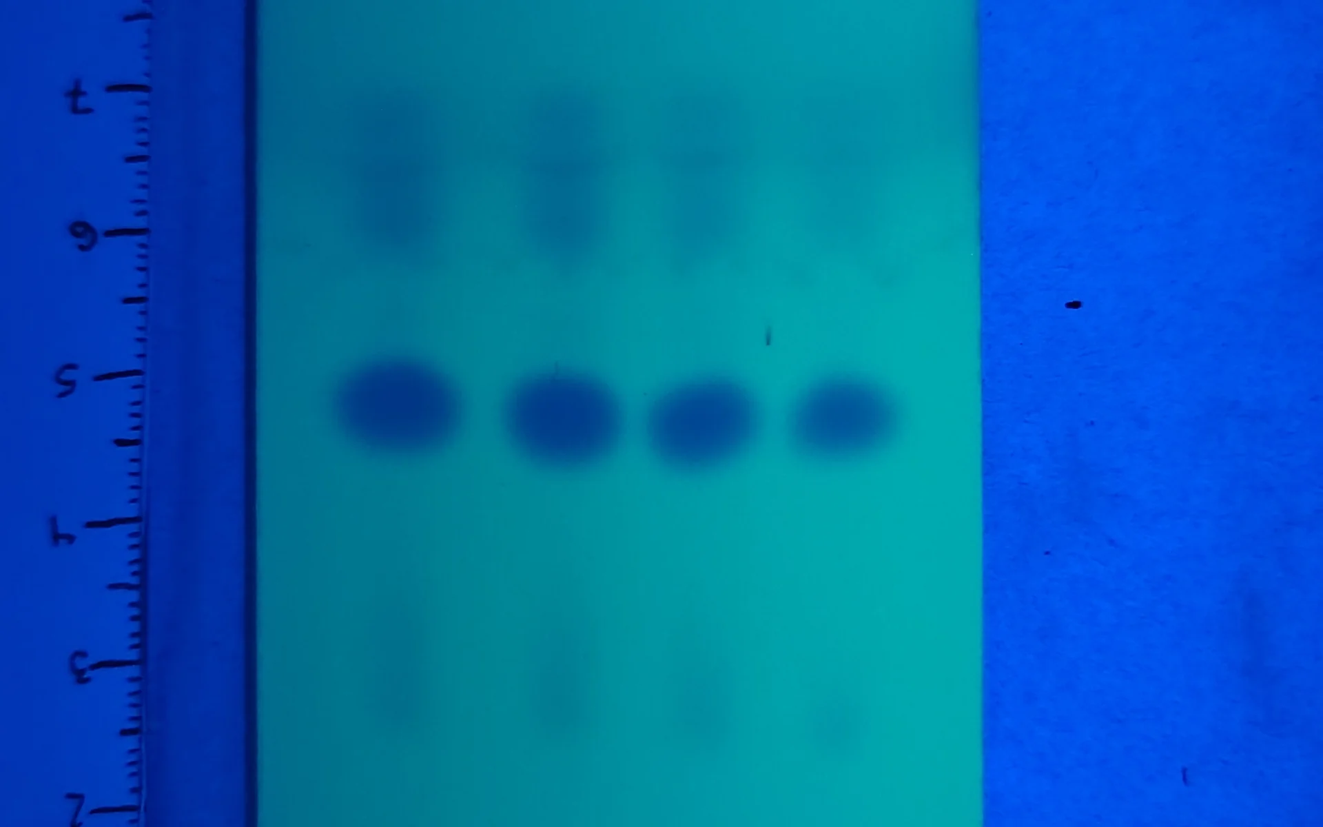 Test di purezza per anfetamina, MMC e CMC
