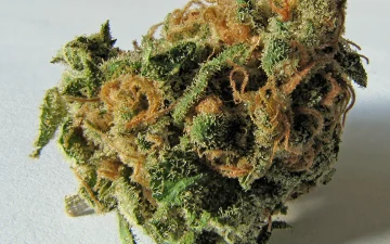 Che cos'è il THC?