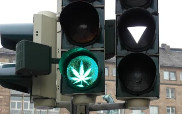 Cosa c’è nei prodotti a base di cannabis e CBD?