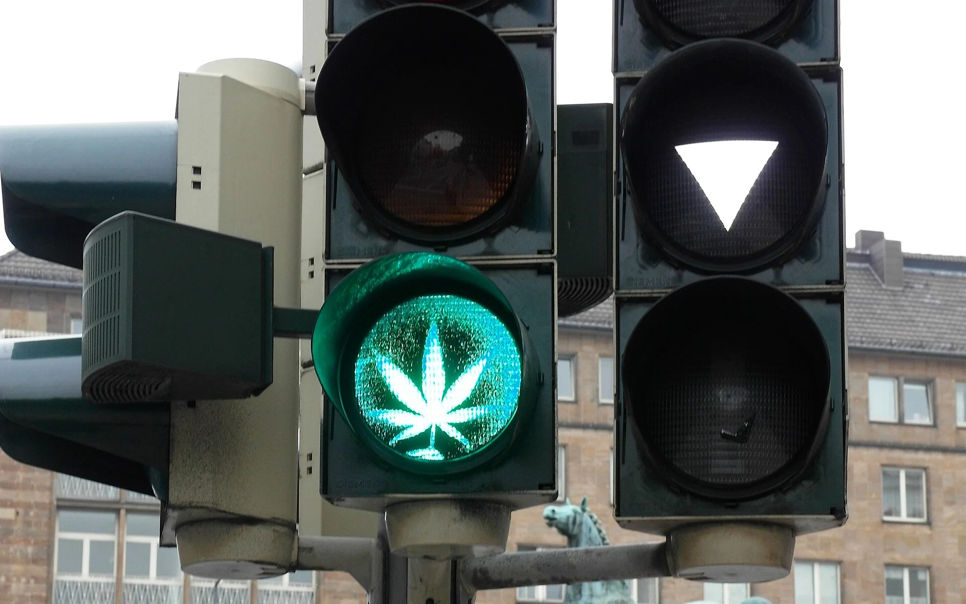 Cosa c’è nei prodotti a base di cannabis e CBD?