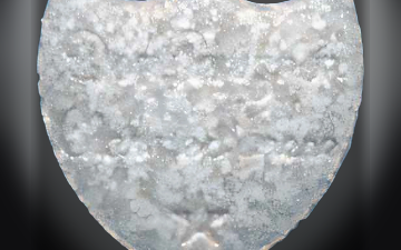Pillole Botella De Champagne (Ecstasy / MDMA)