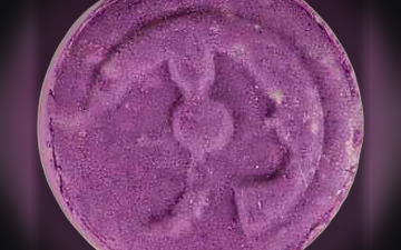Pillole Piaggio (Ecstasy / MDMA)