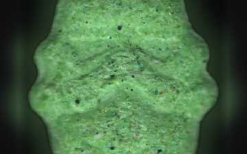 Pillole Stormtrooper (Ecstasy / MDMA)