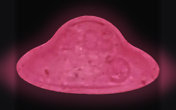 Pillole UFO (2C-B)
