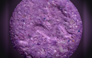 Pillole Playboy (Ecstasy / MDMA)