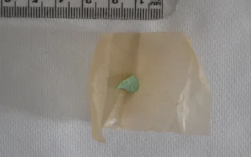 Piccolo frammento di pasticca verde su carta, accanto a un righello
