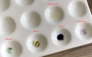 Ecstacy (risultati di analisi di campioni diversi)