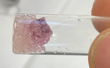 LSD (risultati di analisi di campioni diversi)
